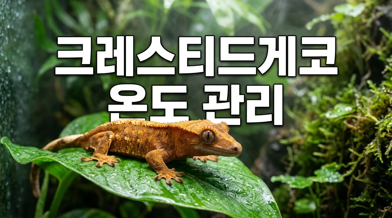 크레스티드게코 적정 온도와 습도 관리 방법: 초보 사육 가이드