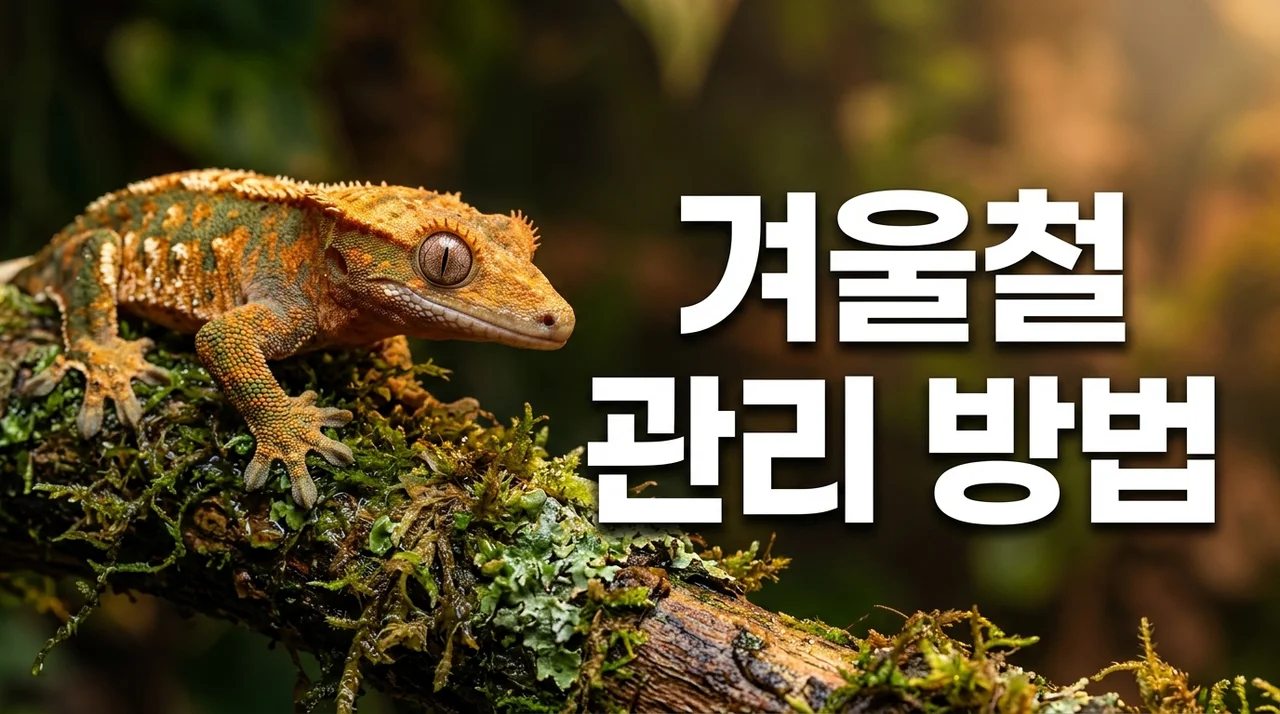 크레스티드게코 겨울철 관리 방법: 온도 및 습도 유지 필수 가이드
