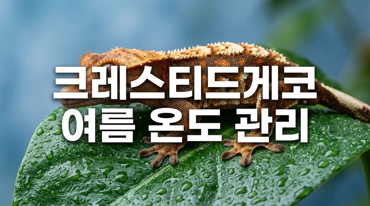 크레스티드게코 여름철 온도 관리 방법: 건강을 지키는 5가지 필수 노하우
