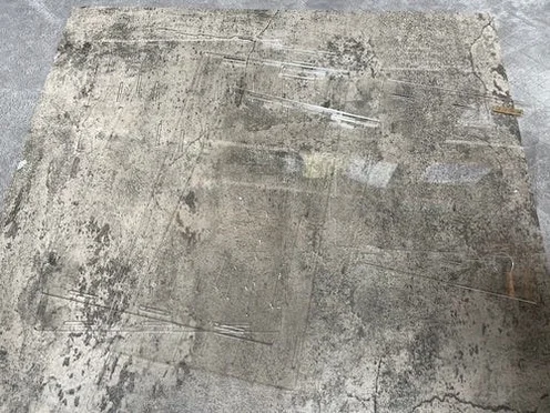 정하남 크레스티드 게코 도마뱀 사육장 세트 초보자 은신처 크리스티드 (30x20x40) 상세 이미지 5