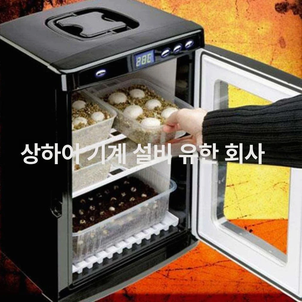 파충류부화기 인큐베이터 게코 도마뱀 거북이 해칭 상세 이미지 2