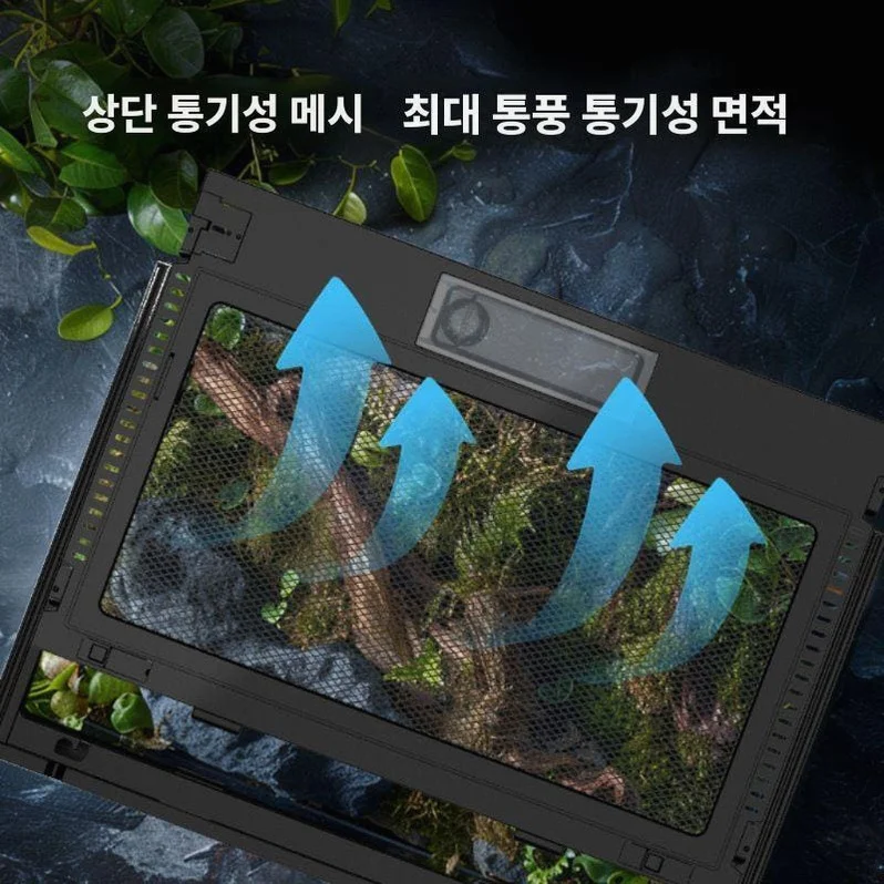 테라리움 만들기 이끼 도마뱀 키우기 비바리움 소형 20x20x17 가로형 고화질유리 상세 이미지 1