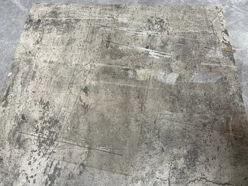 정하남 크레스티드 게코 도마뱀 사육장 초보자 은신처 크리스티드 (30x30x40) 상세 이미지 3