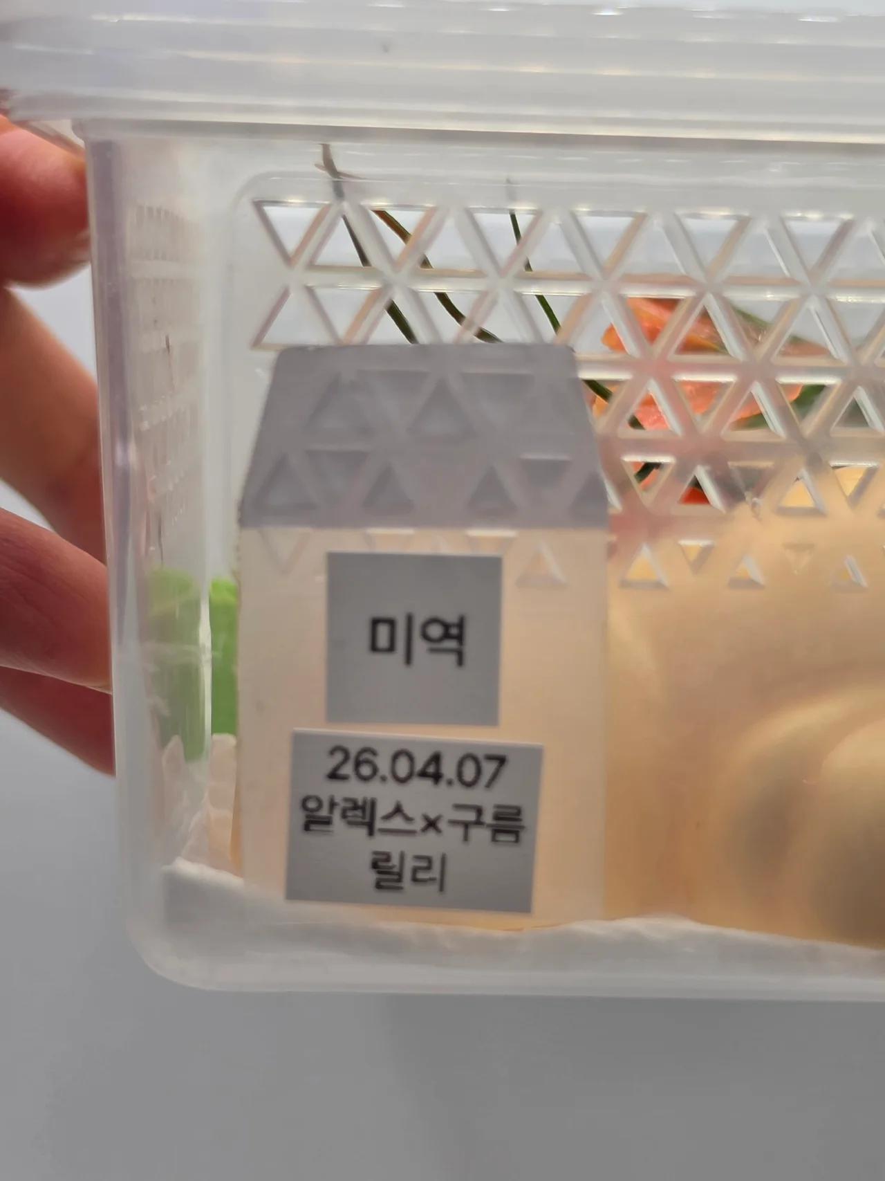 미역이의 이름과 해칭일, 부모 정보가 적힌 사육장 라벨