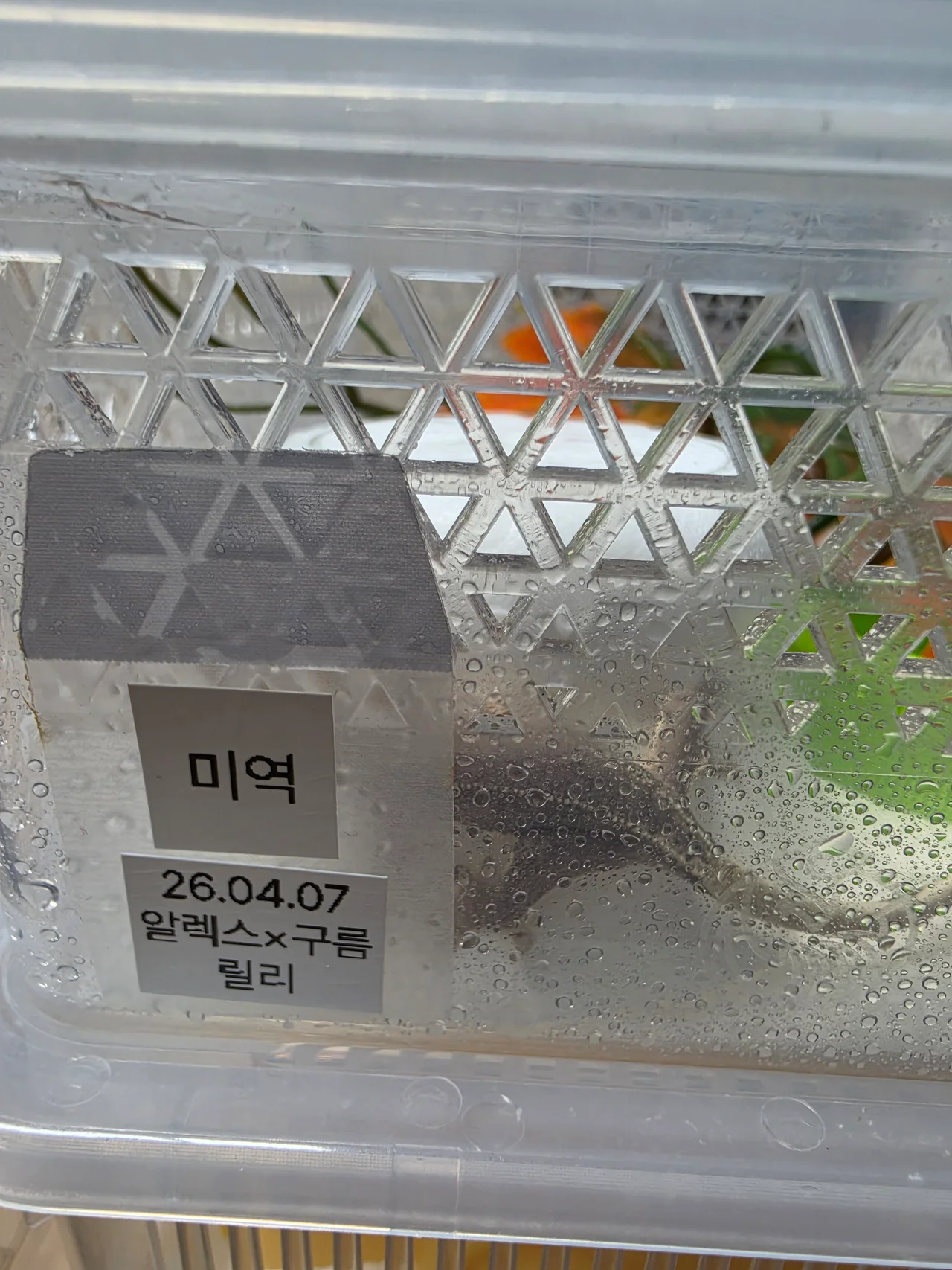사육장 벽면을 타고 노는 미역이와 이름표 라벨